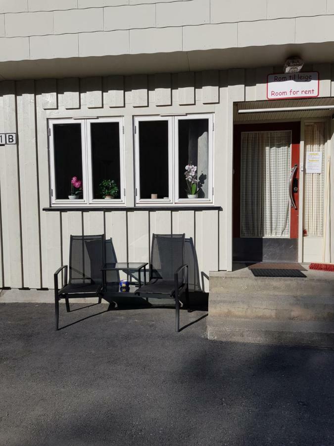 Leilighet i Åmotsdal Eksteriør bilde